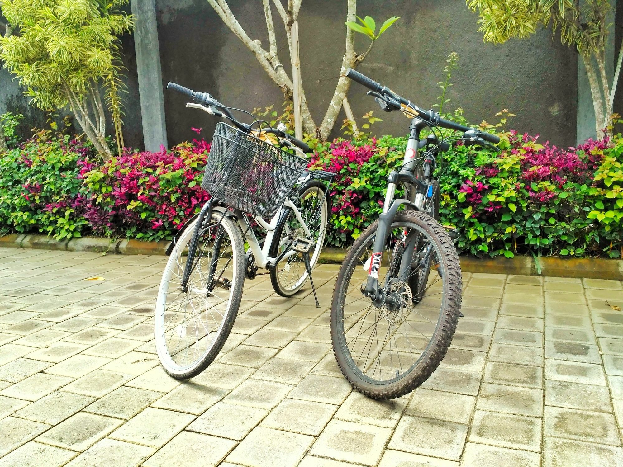 Amelle Villas & Residences Canggu Buitenkant foto